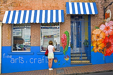 Craft store on Young Street, St. George's, Grenada, Windward Islands, Lesser Antilles, West Indies, Caribbean, Central America