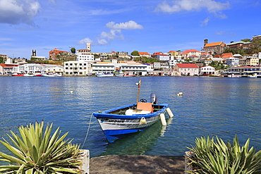 Fishing boat in The Carenage, St. Georges, Grenada, Windward Islands, West Indies, Caribbean, Central America