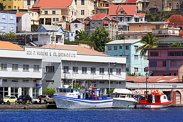 Fishing boats in The Carenage, St. Georges, Grenada, Windward Islands, West Indies, Caribbean, Central America