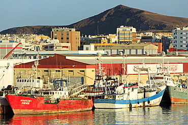 Fishing boats in Santa Catalina Port, Las Palmas City, Gran Canaria Island, Canary Islands, Spain, Atlantic, Europe