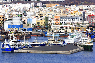 Fishing boats in Santa Catalina Port, Las Palmas City, Gran Canaria Island, Canary Islands, Spain, Atlantic, Europe