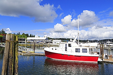 Gig Harbor Marina, Tacoma, Washington State, United States of America, North America