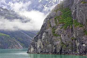 Tracy Arm Fjord, Alaska, United States of America, North America 