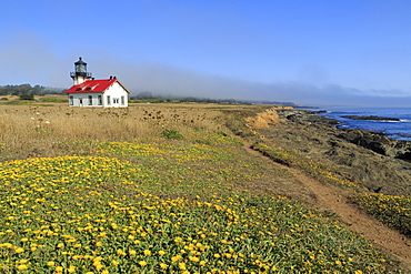 Point Cabrillo Lighthouse, Mendocino County, California, United States of America, North America 