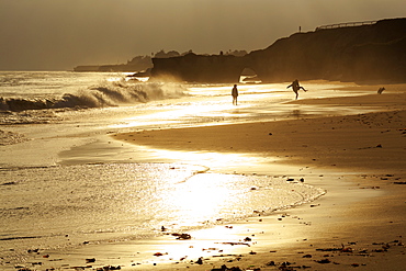 Lighthouse State Beach, Santa Cruz, California, United States of America, North America