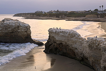 Natural Bridges State Park, Santa Cruz, California, United States of America, North America