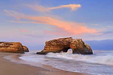 Natural Bridges State Park, Santa Cruz, California, United States of America, North America