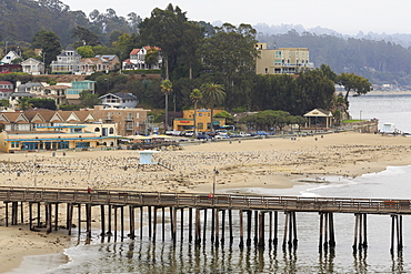 Wharf, Capitola, Santa Cruz County, California, United States of America, North America