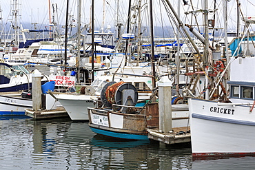 Marina in Pillar Point Harbor, Half Moon Bay, California, United States of America, North America