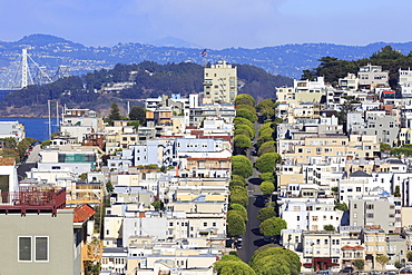 Lombard Street, San Francisco, California, United States of America, North America 