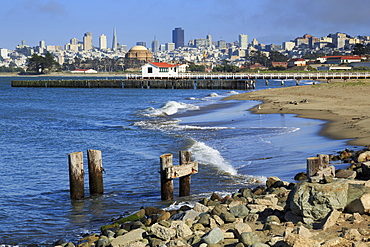 Crissy Field, San Francisco, California, United States of America, North America 