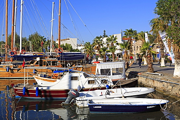 Boats in Bodrum Harbor, Anatolia, Turkey, Asia Minor, Eurasia