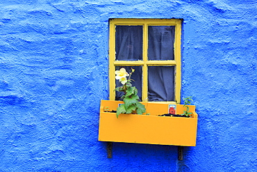 Cottage window, Kinsale Town, County Cork, Munster, Republic of Ireland, Europe