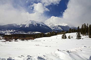 Windy Point, White River National Forest, Breckenridge, Rocky Mountains, Colorado, United States of America, North America