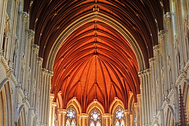 St. Colman's Cathedral, Cobh Town, County Cork, Munster, Republic of Ireland, Europe