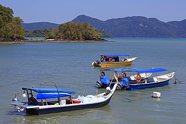 Fishing boats in Porto Malai, Chenang City, Langkawi Island, Malaysia, Southeast Asia, Asia