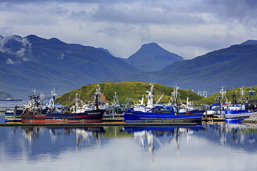 Carl E. Moses Boat Harbor, Dutch Harbor, Amaknak Island, Aleutian Islands, Alaska, United States of America, North America