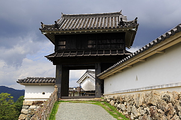 Kochi Castle Gate, Kochi City, Shikoku Island, Japan, Asia