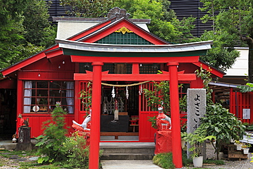 Kochi dai Jingu Shrine, Kochi City, Shikoku Island, Japan, Asia