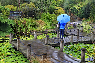 VanDusen Gardens, Vancouver, British Columbia, Canada, North America