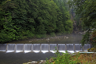 Capilano River Regional Park, Vancouver, British Columbia, Canada, North America