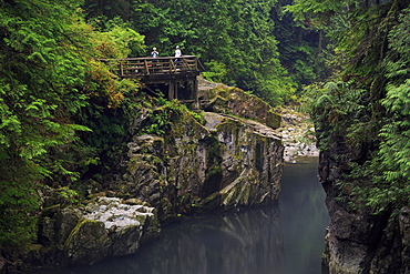 Capilano River Regional Park, Vancouver, British Columbia, Canada, North America