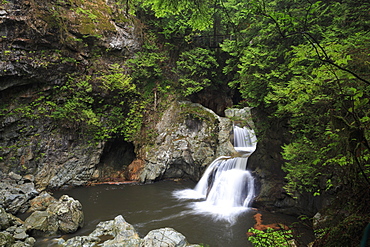 Twin Falls, Lynn Canyon Park, Vancouver, British Columbia, Canada, North America