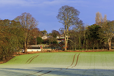 Frost covered farmland, Marlfield Village, County Tipperary, Republic of Ireland, Europe