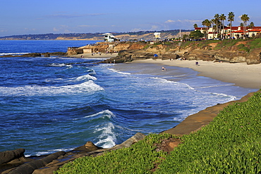 La Jolla, San Diego, California, United States of America, North America