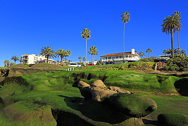 Rock formations, La Jolla, San Diego, California, United States of America, North America