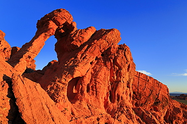 Elephant Rock, Valley of Fire State Park, Overton, Nevada, United States of America, North America