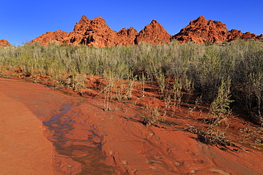 Clark Memorial wash, Valley of Fire State Park, Overton, Nevada, United States of America, North America