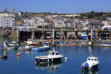 Albert Marina, St. Peter Port, Guernsey, Channel Islands, United Kingdom, Europe