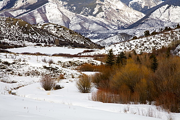 Landscape near Aspen, Rocky Mountains, Colorado, United States of America, North America