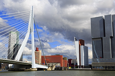 Erasmus Bridge, Rotterdam, South Holland, Netherlands, Europe