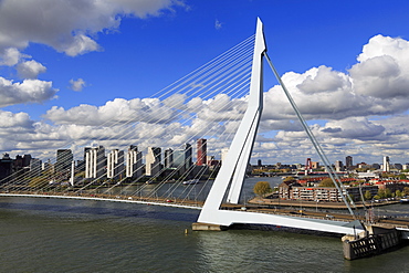 Erasmus Bridge, Rotterdam, South Holland, Netherlands, Europe