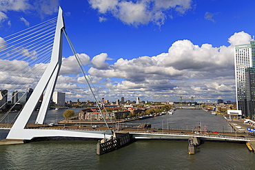 Erasmus Bridge, Rotterdam, South Holland, Netherlands, Europe