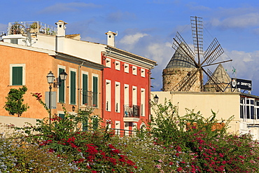 Windmill in Barrio Es Jonquet, Palma De Mallorca, Majorca, Balearic Islands, Spain, Mediterranean, Europe