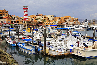 Marina, Cabo San Lucas, Baja California Sur, Mexico, North America