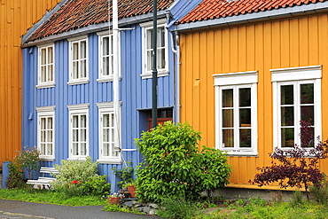 Mollenberg District, Trondheim City, Trondelag County, Norway, Scandinavia, Europe