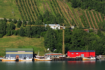 Boatyard, Urnes Village, Lustrafjorden, Sogn og Fjordane County, Norway, Scandinavia, Europe