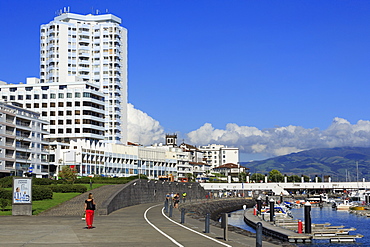 Marina, Ponta Delgada City, Sao Miguel Island, Azores, Portugal, Atlantic, Europe