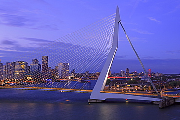 Erasmus Bridge, Rotterdam, Netherlands, Europe