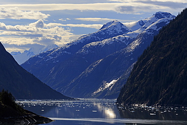 Endicott Arm, Holkham Bay, Juneau, Alaska, United States of America, North America