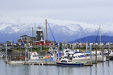 Fishing Boats, Homer, Alaska, United States of America, North America