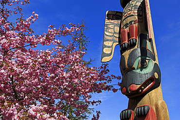 Chief Keyan Totem Pole, Ketchikan, Alaska, United States of America, North America