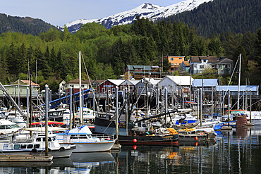 Thomas Basin boat harbor, Ketchikan, Alaska, United States of America, North America