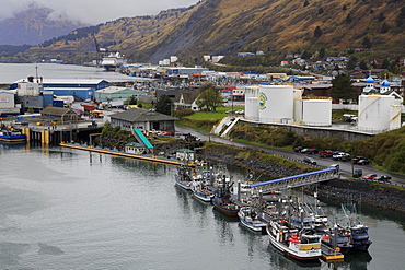 Kodiak, Alaska, United States of America, North America