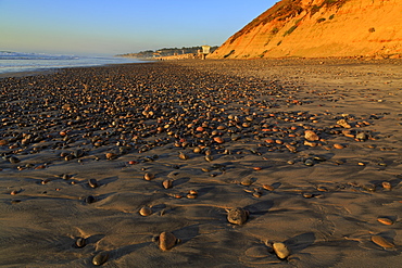 Torrey Pines State Beach, Del Mar, San Diego County, California, United States of America, North America