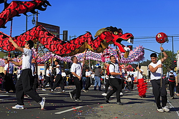 Golden Dragon Parade, Chinatown, Los Angeles, California, United States of America, North America